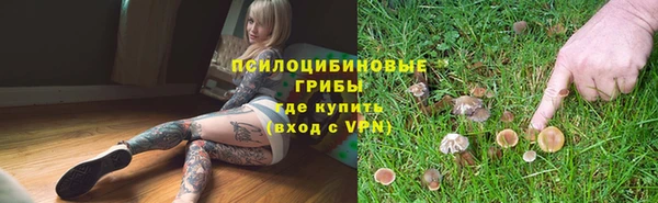 меф Медвежьегорск